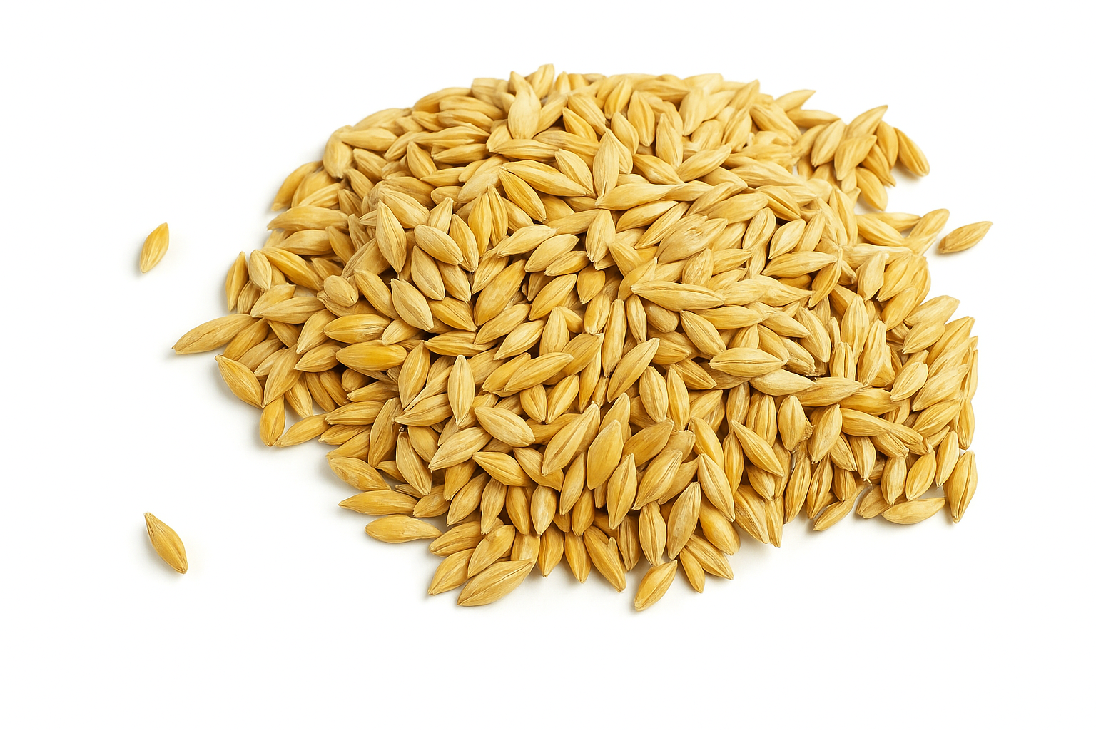 Barley