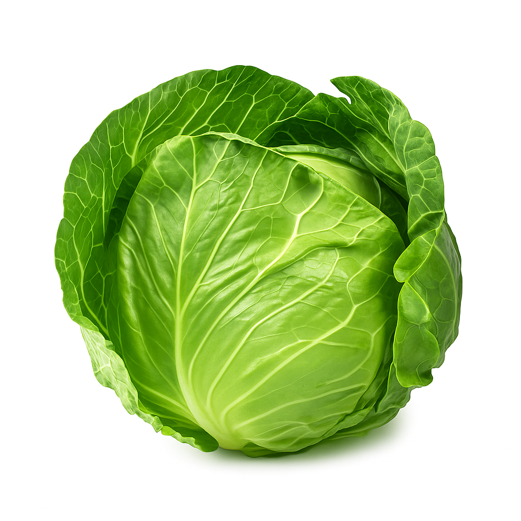 Cabbage