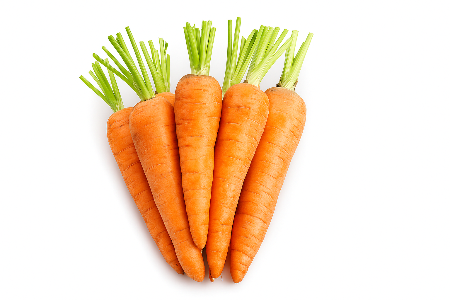 Carrot